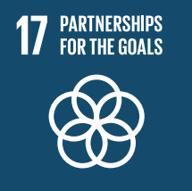 17 partnerships